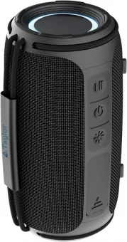 Veekindel kõlar Prisma RCS IPX 4 16W