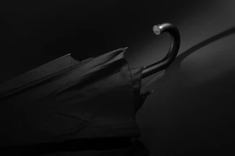 Vihmavari Swiss Peak Vero Aware™ RPET 25”