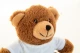 Kaisuloom Rebear RPET