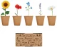 Lillede kasvatamise komplekt FLOWERS
