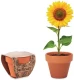 Lillepott SUNFLOWER