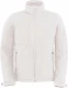 Meeste kapuutsiga softshell
