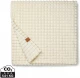 Pleed VINGA Branson